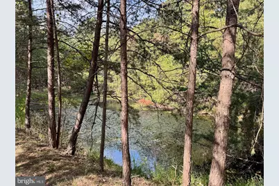 Easter Ridge Lane #LOT 2B, Cross Junction, VA 22625 - Photo 8