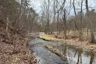 Lot 1B Double Church Rd, Stephens City, VA 22655 - Photo 30