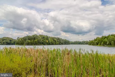 117 Harvester Drive, Lake Frederick, VA 22630 - Photo 30