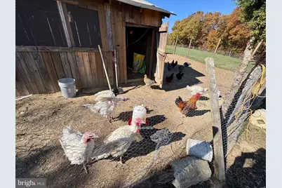 220 Snappy Lane, Winchester, VA 22602 - Photo 52