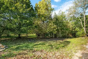 298 Bufflick Rd, Winchester, VA 22602 - Photo 32