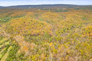 1631 Back Mountain Rd, Winchester, VA 22603 - Photo 82