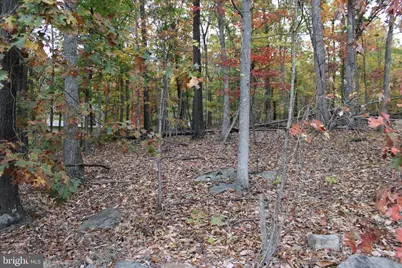 309 Raccoon Drive, Winchester, VA 22602 - Photo 32