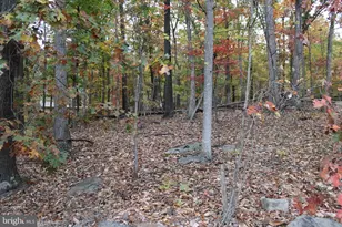 309 Raccoon Dr, Winchester, VA 22602 - Photo 32