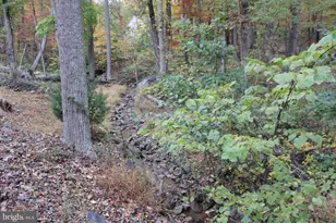 309 Raccoon Dr, Winchester, VA 22602 - Photo 34