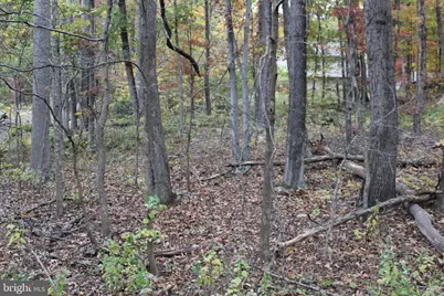 309 Raccoon Drive, Winchester, VA 22602 - Photo 36