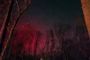 309 Raccoon Dr, Winchester, VA 22602 - Photo 2