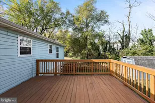 807 Butler Ave, Winchester, VA 22601 - Photo 42