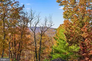 289 Westview Dr, Winchester, VA 22603 - Photo 42