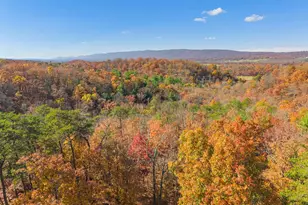 289 Westview Dr, Winchester, VA 22603 - Photo 44