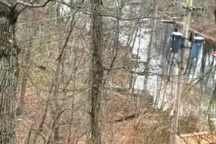 109 Sycamore Pl, Cross Junction, VA 22625 - Photo 2