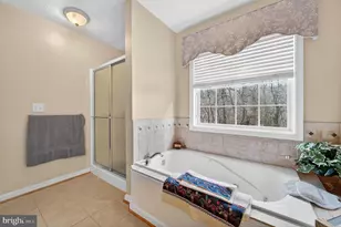 461 Skylar Lanes Way, Winchester, VA 22603 - Photo 46