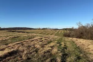 Lot 18 Honeycrisp Way, Winchester, VA 22603 - Photo 34