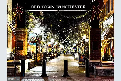 156 Munsee Circle, Winchester, VA 22602 - Photo 56