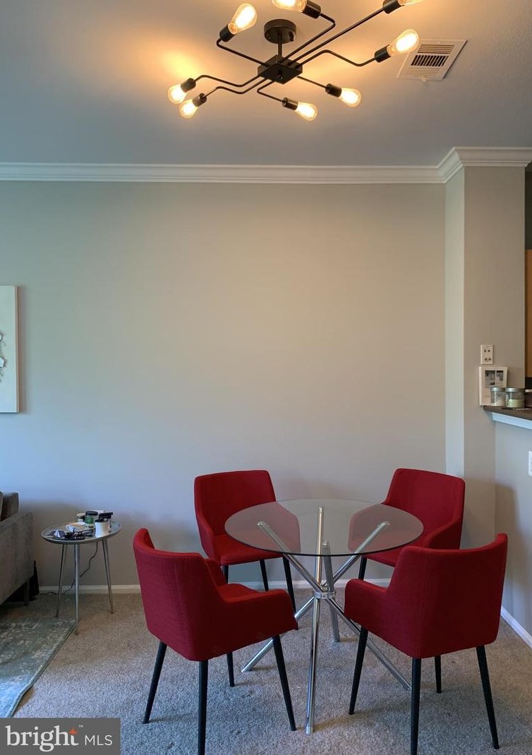 3003 Nicosh Cir #3407, Falls Church, VA 22042