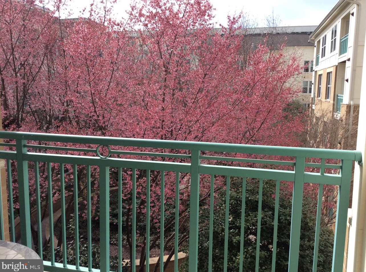 12000 Market St #355, Herndon, VA 20190