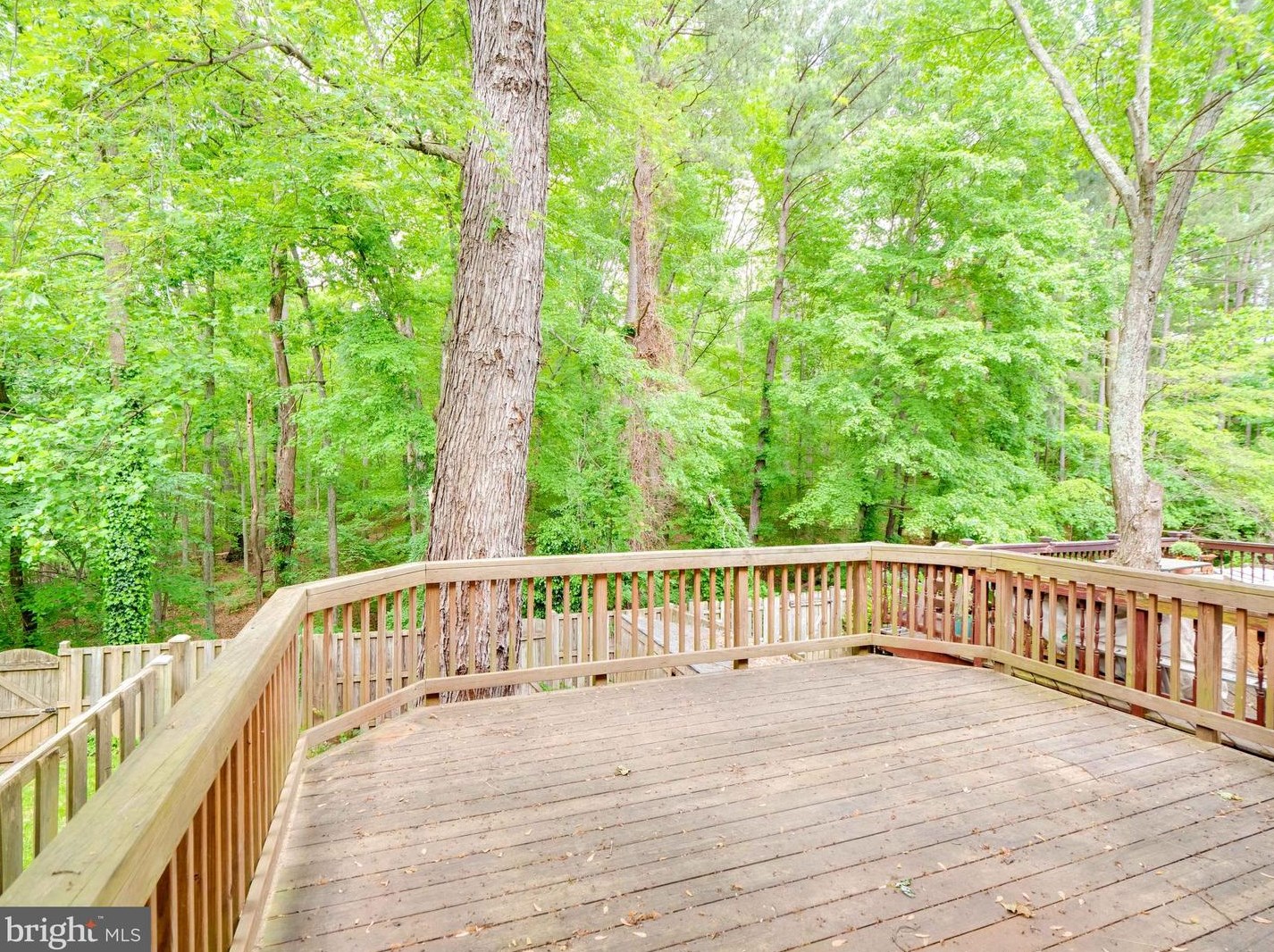 8352 Luce Ct, Springfield, VA 22153
