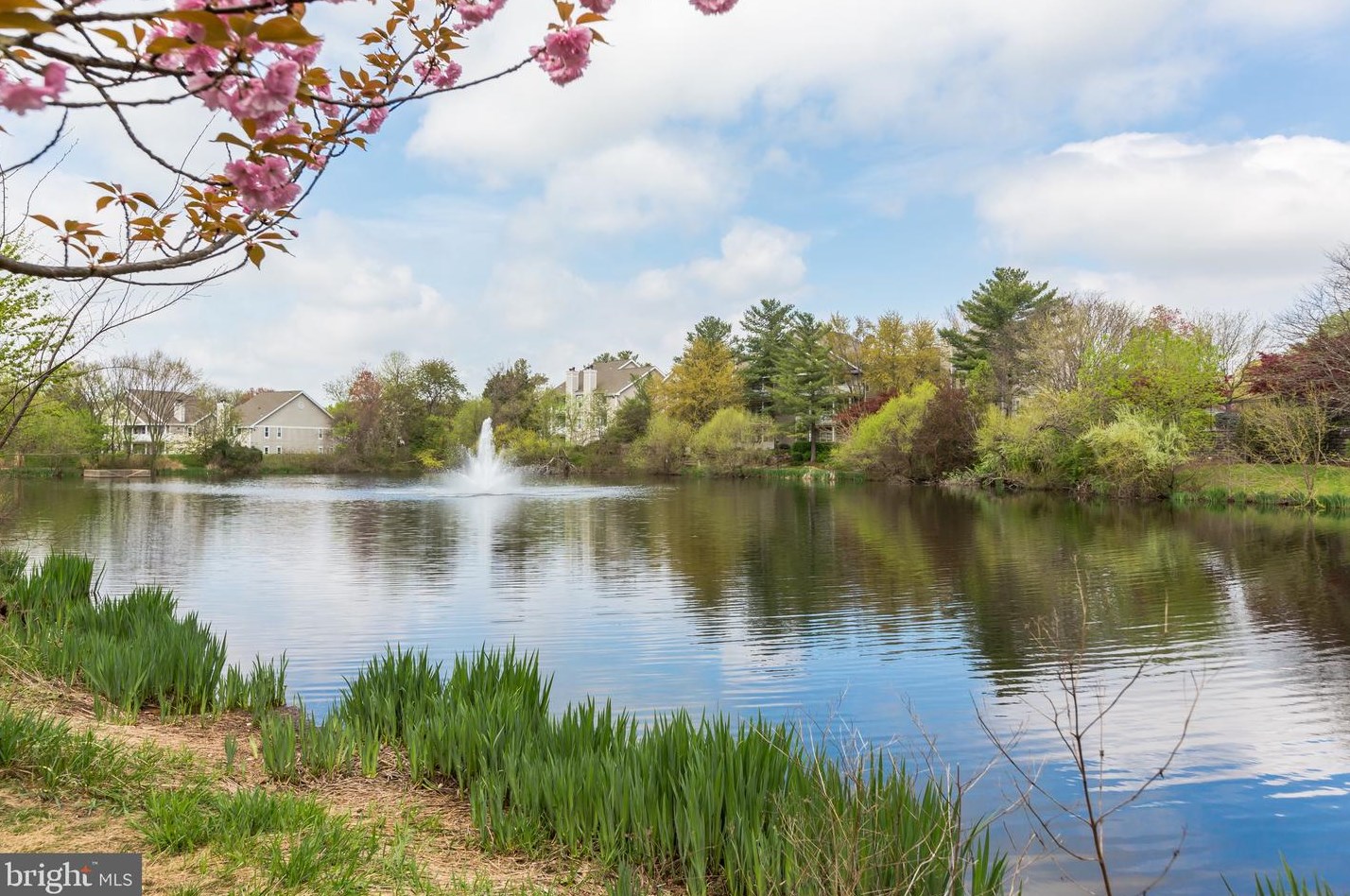 14309 Climbing Rose Way #206, Centreville, VA 20121