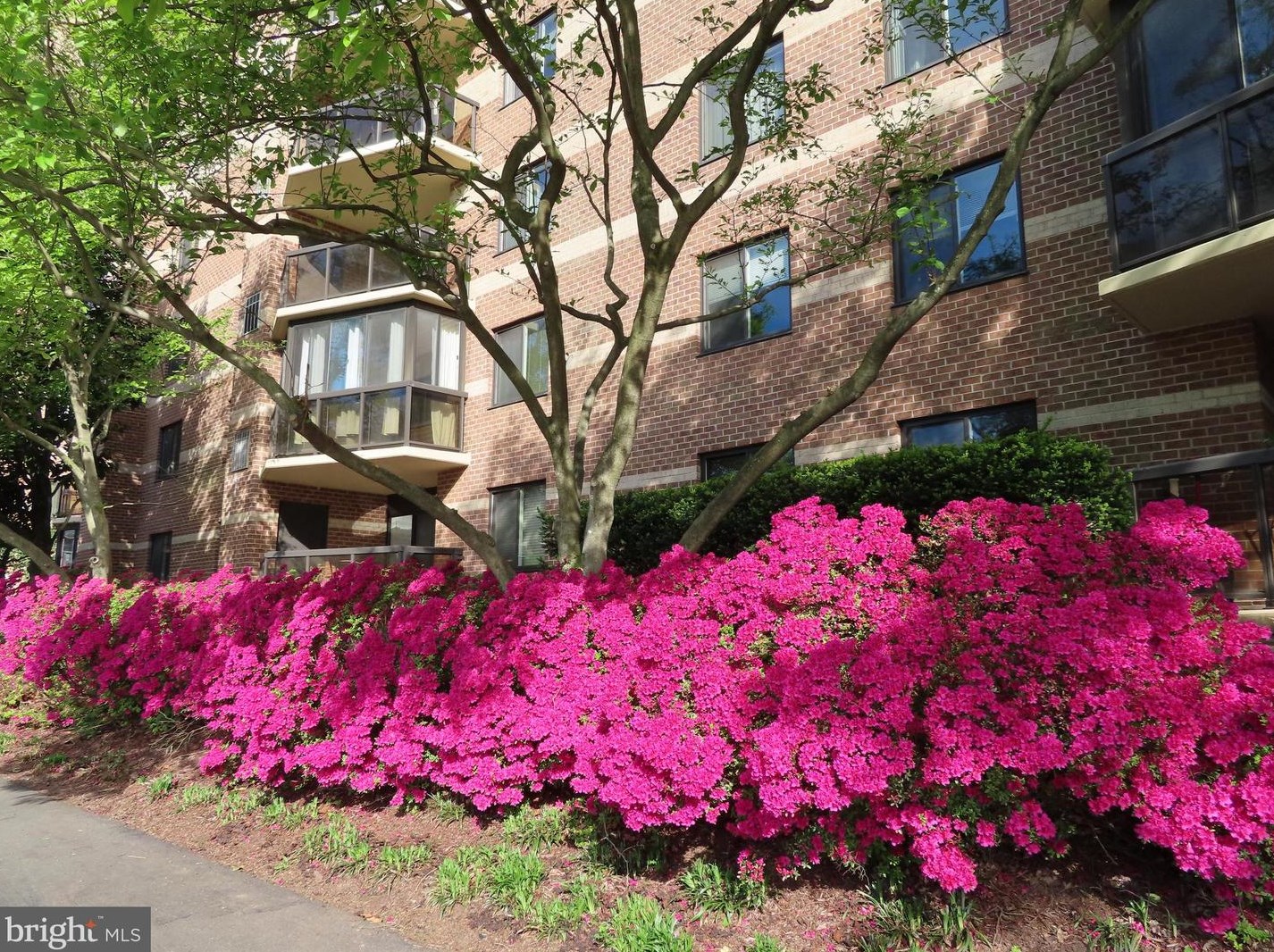 8340 Greensboro Dr Apt 501, Mc Lean, VA 22102