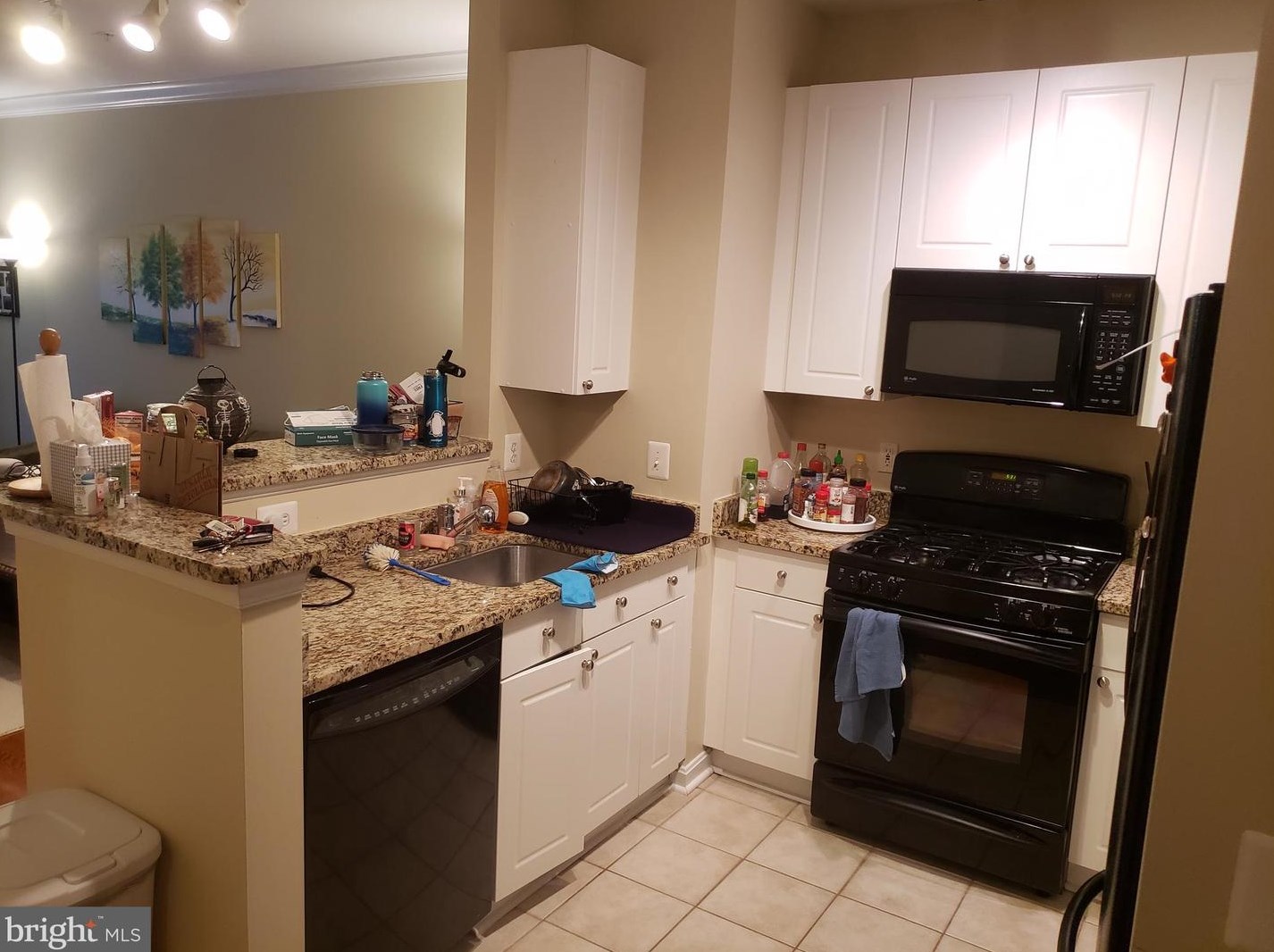 2765 Centerboro Dr #361, Vienna, VA 22181