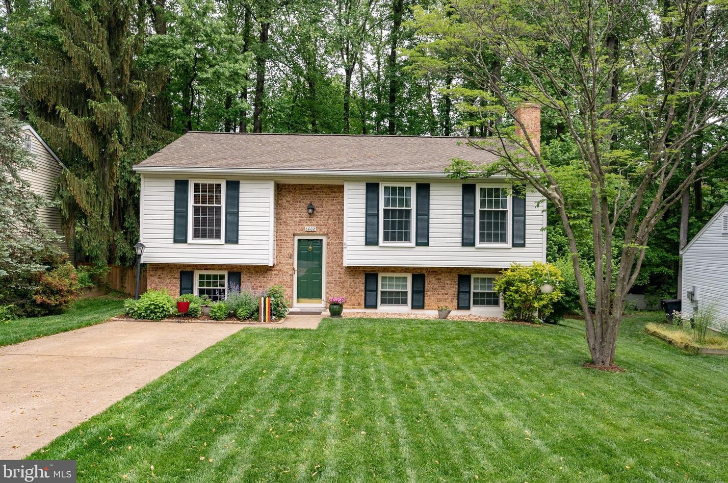 6002 Windward Dr, Springfield, VA 22015