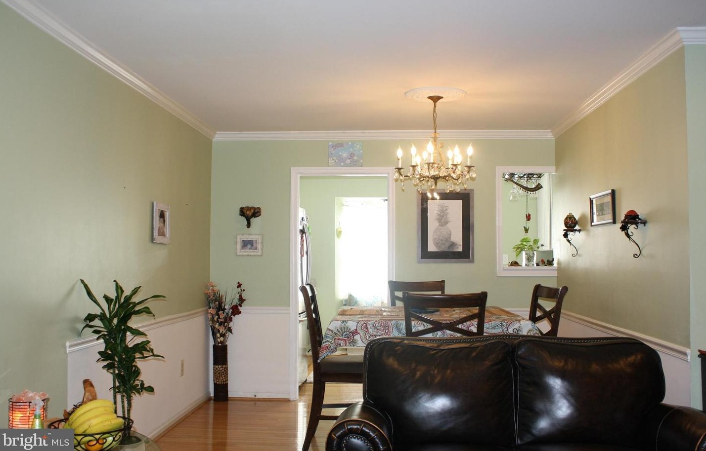 10027 Park Woods Ln, Springfield, VA 22015