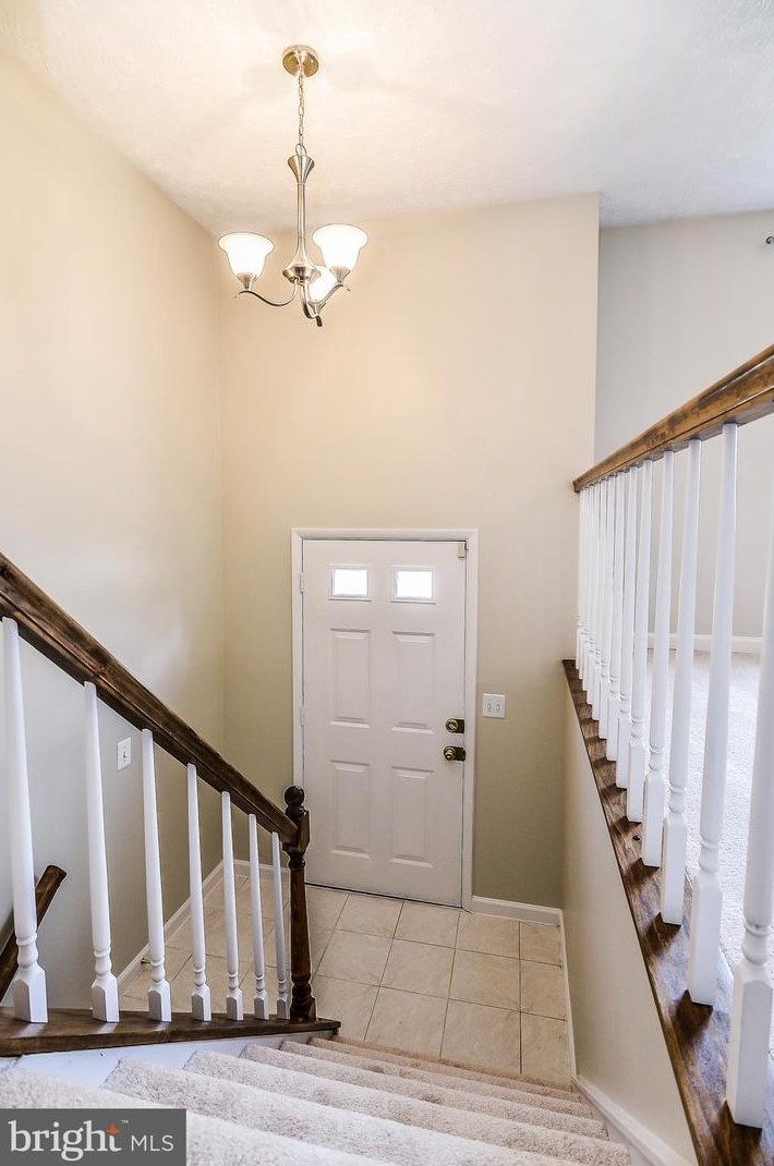 8316 White Star Ct, Springfield, VA 22153