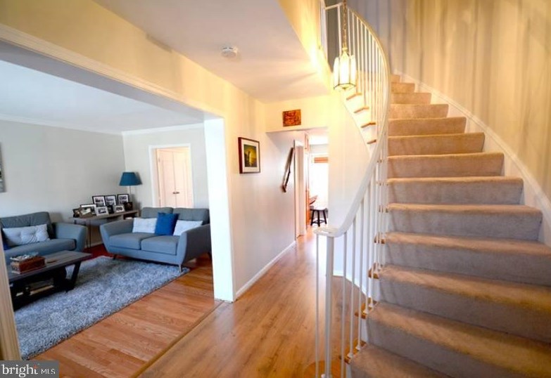 6017 Queenston St, Springfield, VA 22152