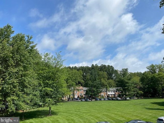 8333 Moline Pl, Springfield, VA 22153