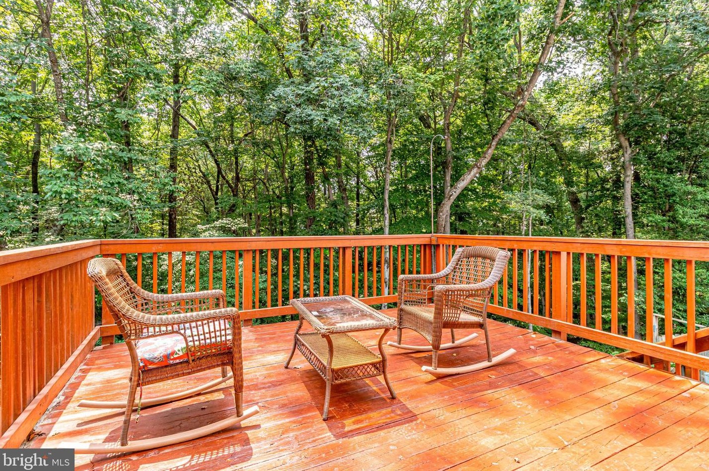 8024 Grandview Ct, Springfield, VA 22153