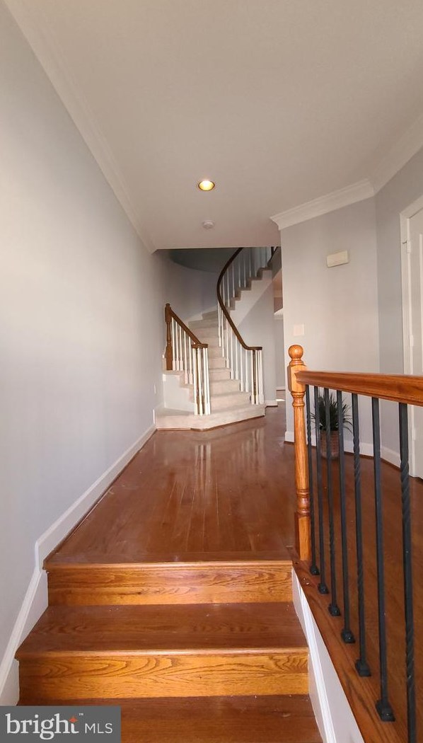 8172 Madrillon Ct, Vienna, VA 22182-3751