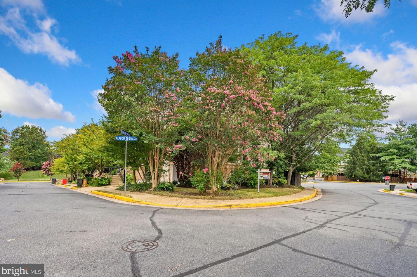 8100 Meadow Springs Ct, Vienna, VA 22182