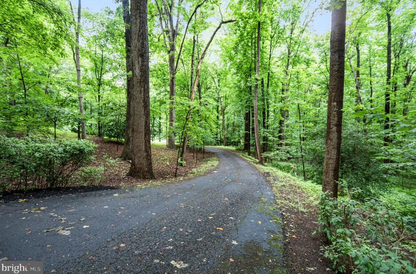 12142 Brantleigh Pl, Fairfax, VA 22039