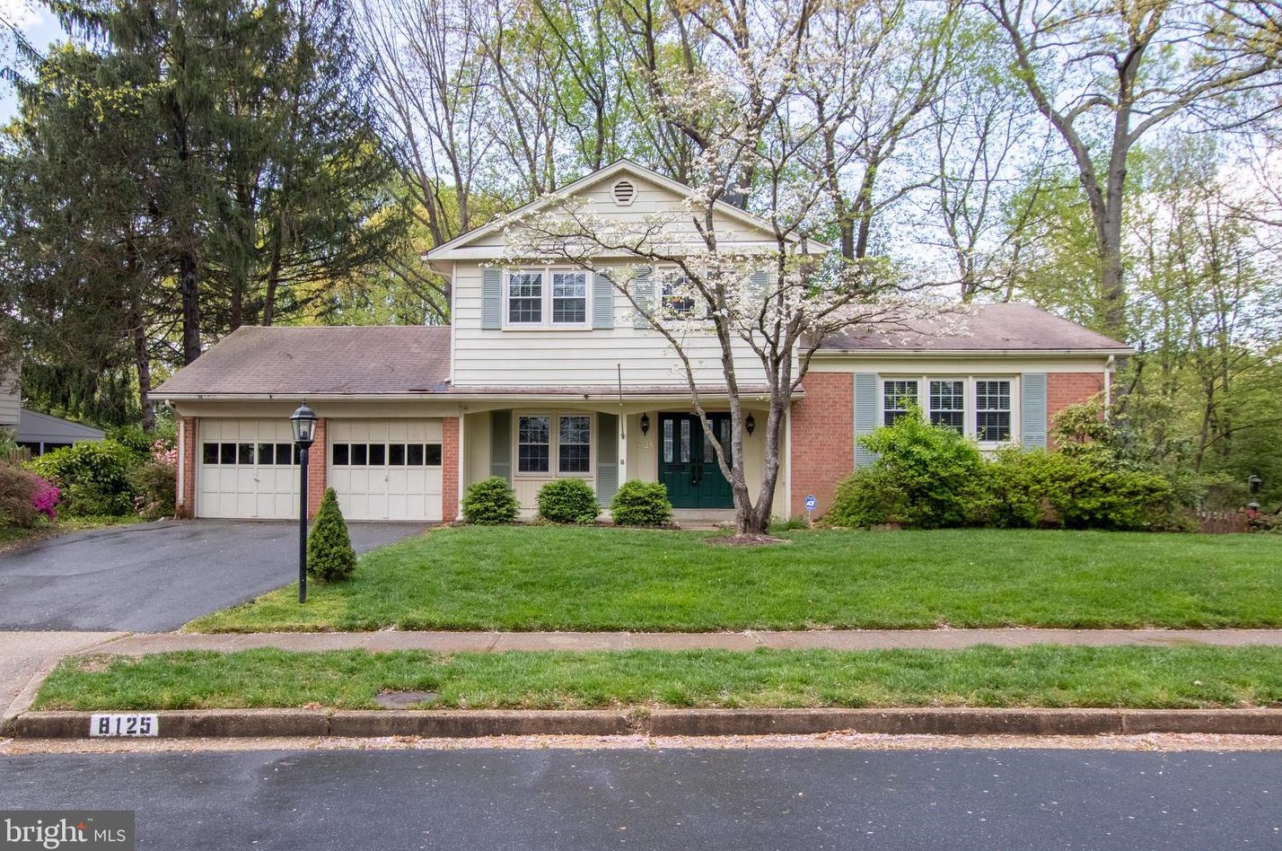 8125 Saxony Dr, Annandale, VA 22003
