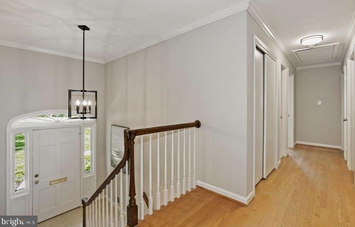 3606 Barkley Dr, Fairfax, VA 22031