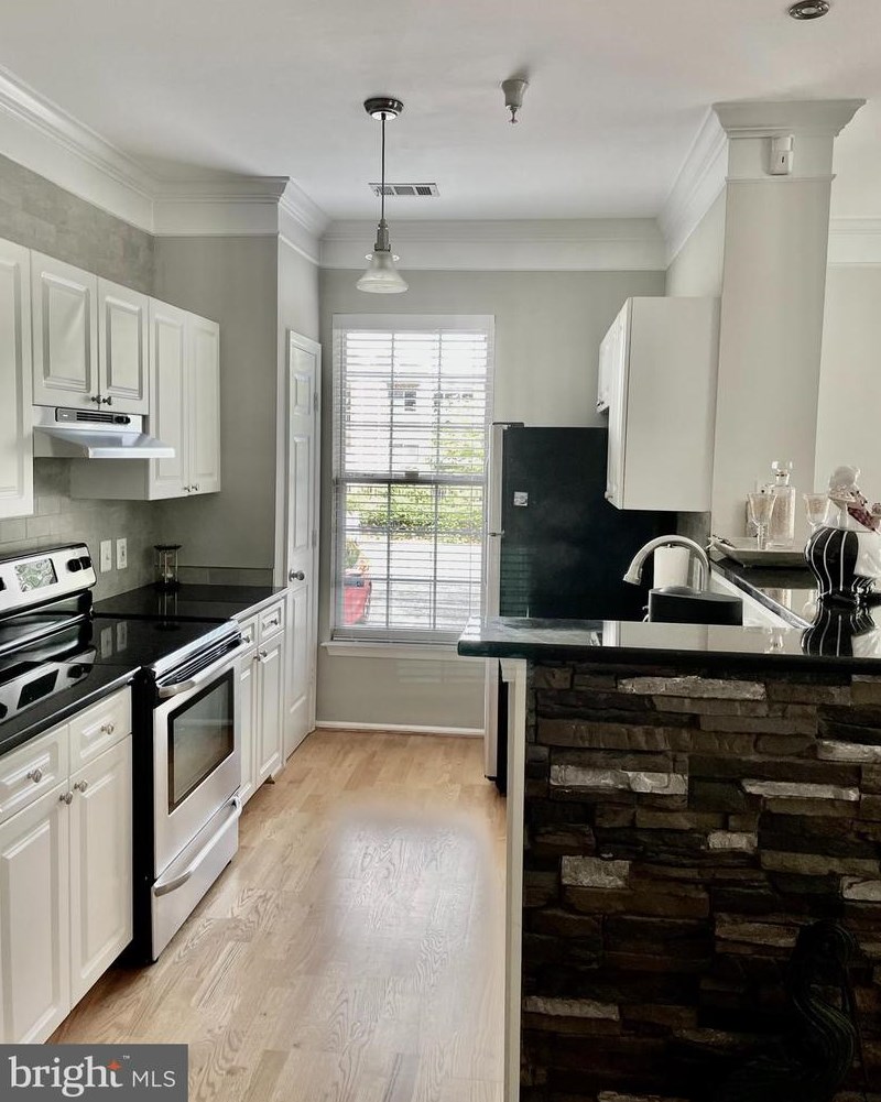 3021 Nicosh Cir #1102, Falls Church, VA 22042