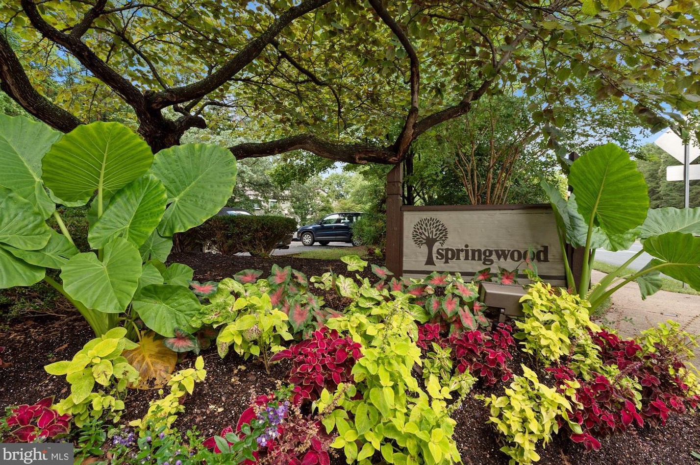 11727 Ledura Ct Apt 202, Herndon, VA 20191