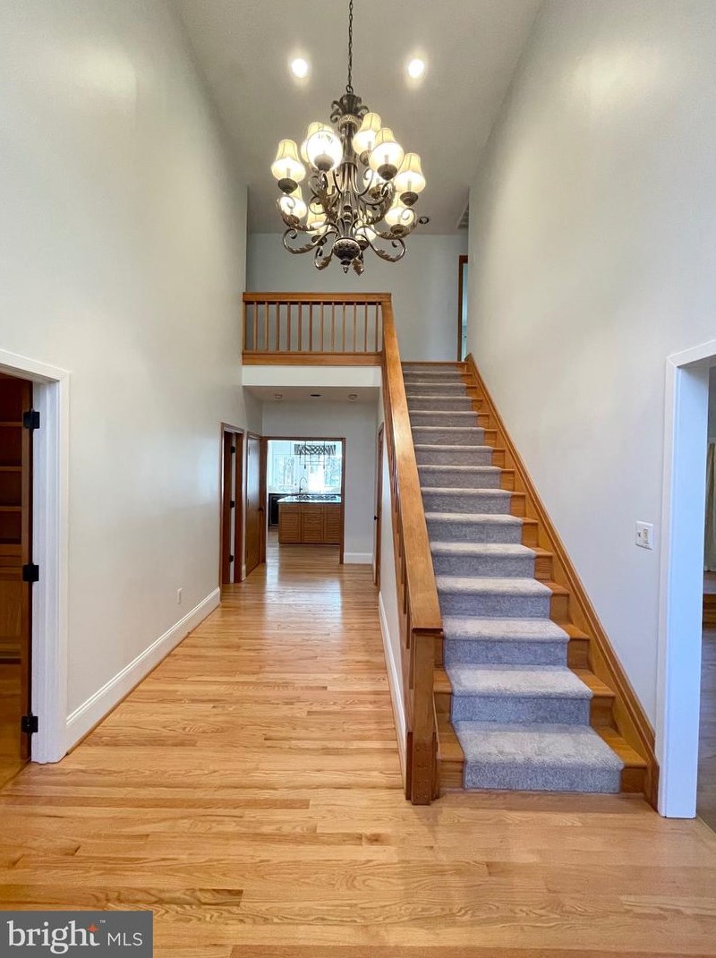 513 Arnon Lake Dr, Great Falls, VA 22066