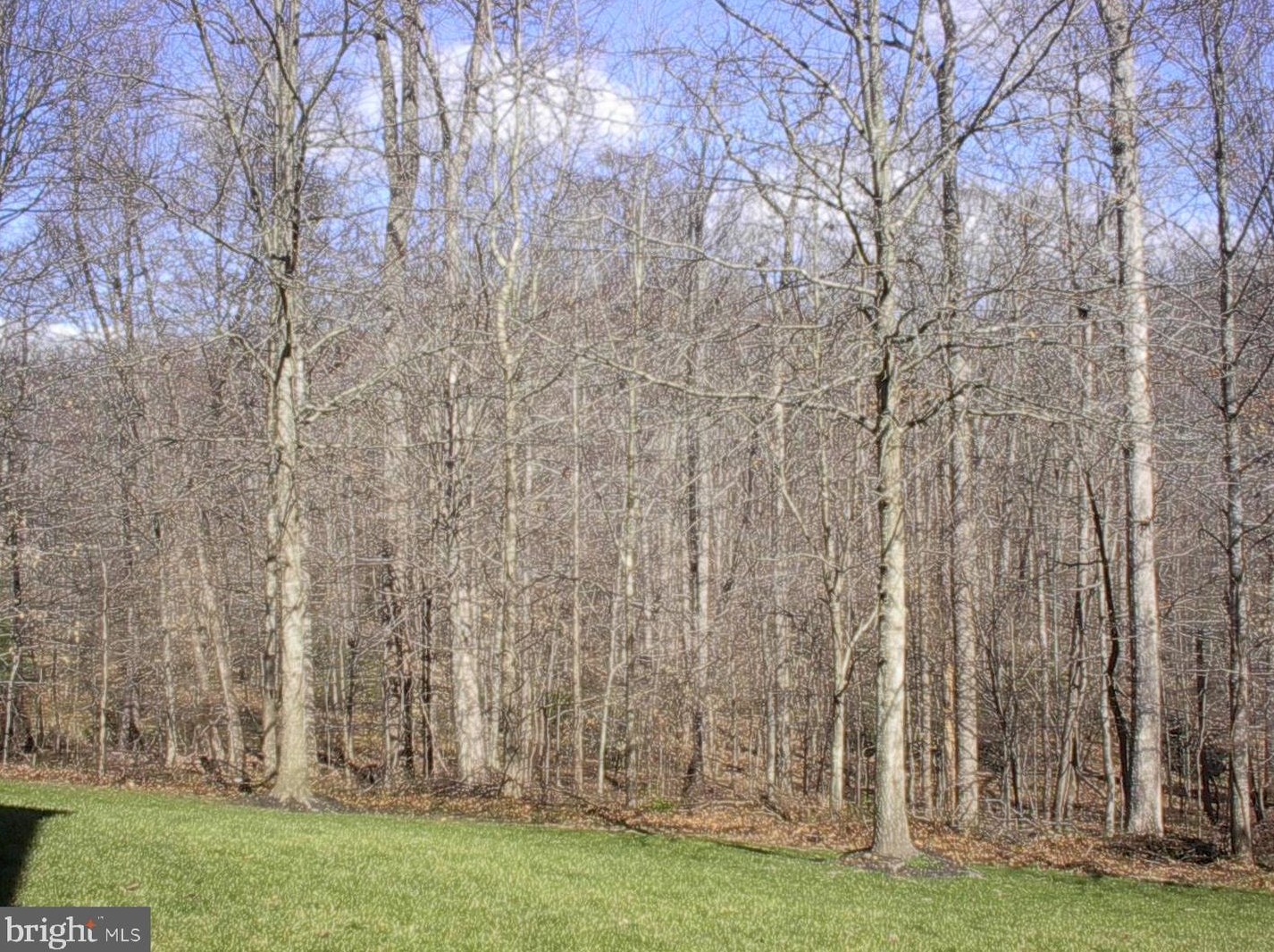 8840 Western Hemlock Way, Lorton, VA 22079