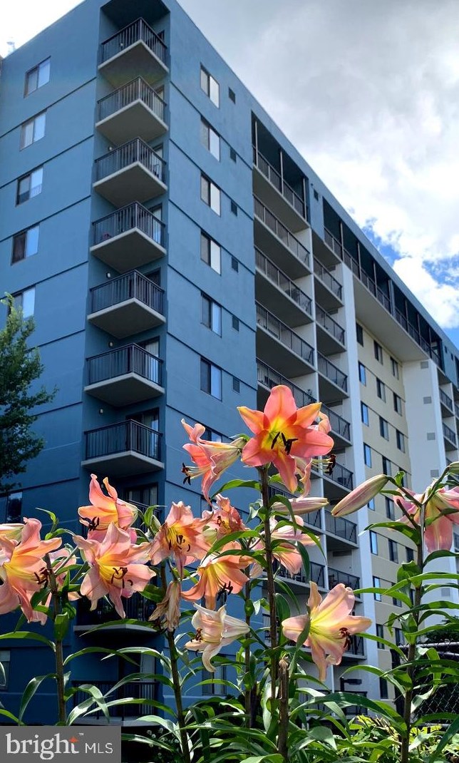 3800 Powell Ln Apt 714, Falls Church, VA 22041