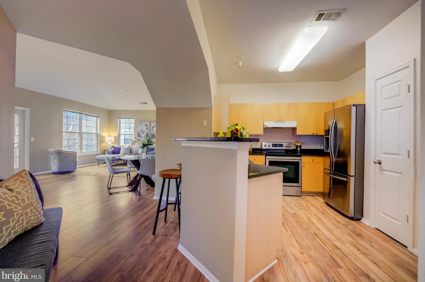 3015 Nicosh Cir #2401, Falls Church, VA 22042