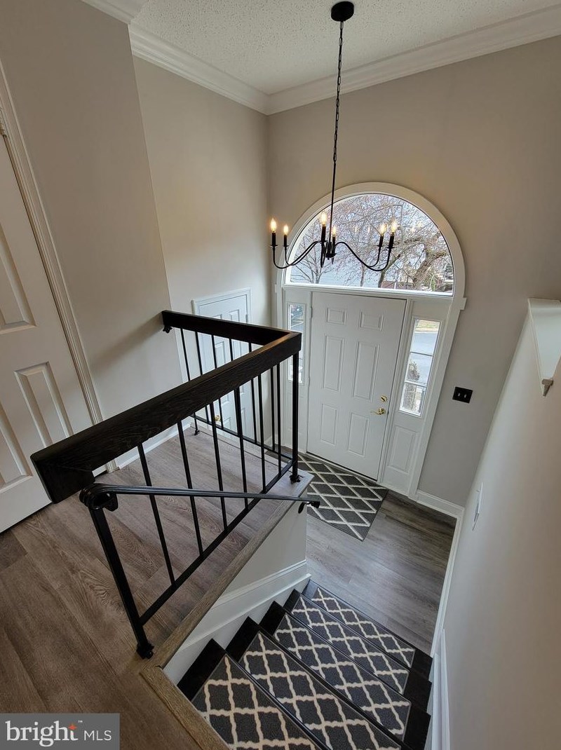 5824 Wye Oak Commons Ct, Springfield, VA 22015