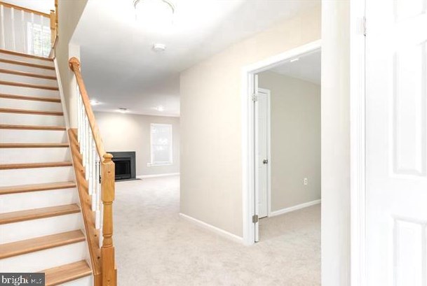 5638 Gresham Ln, Centreville, VA 20120