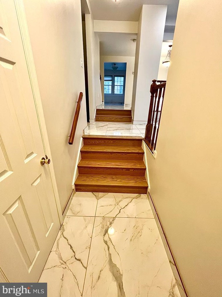 10126 Walnut Wood Ct, Springfield, VA 22015