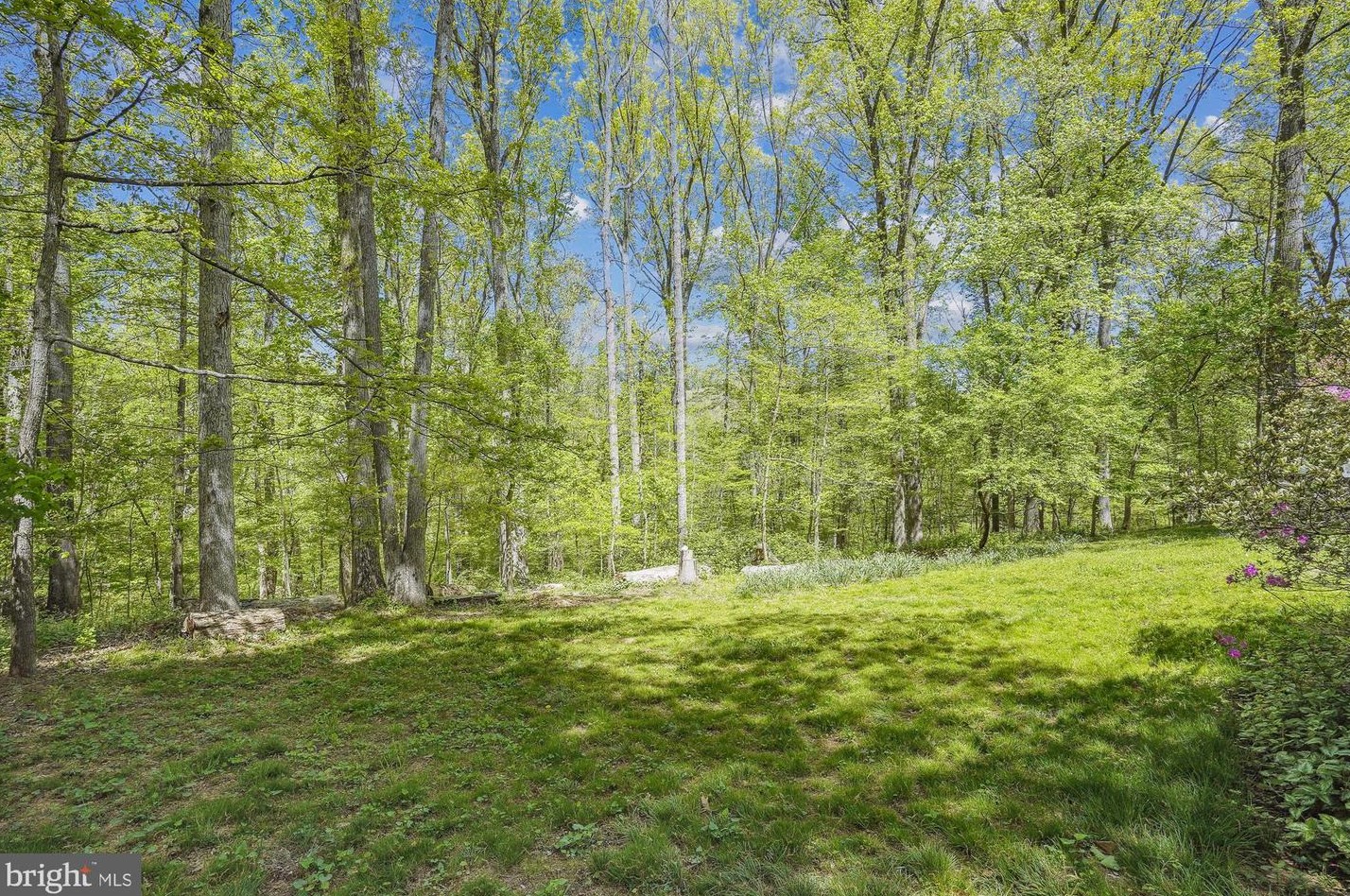 11117 Lakenheath Way, Vienna, VA 22124-1913