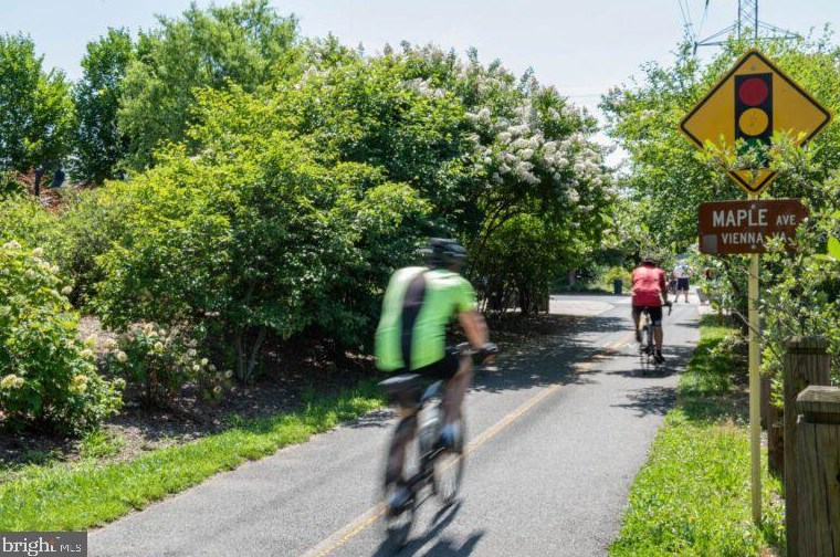 2923 Vlg Spg Ln, Vienna VA 22181-6112 exterior