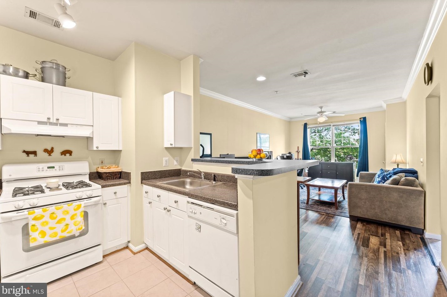3851 Aristotle Ct #1-214, Fairfax, VA 22030