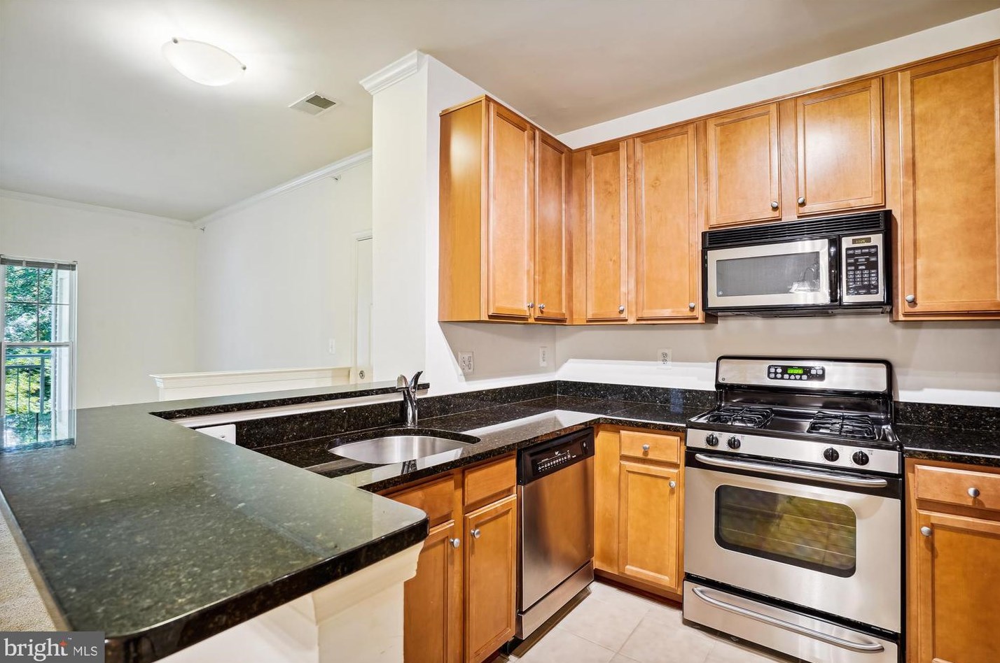 1509 N Point Dr Apt 302, Herndon, VA 20194