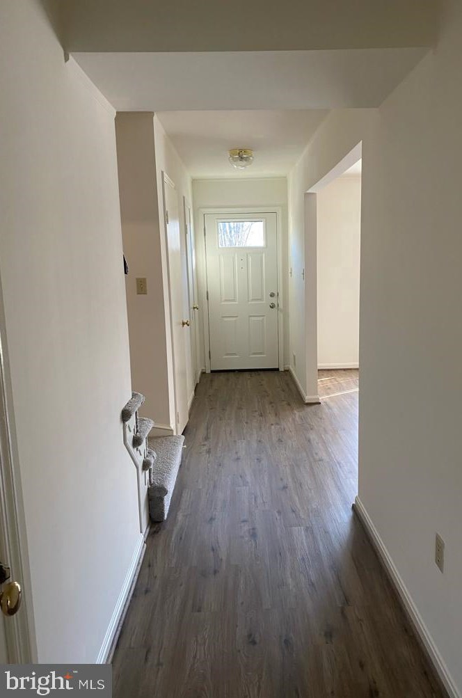 8014 Carbondale Way, Springfield, VA 22153