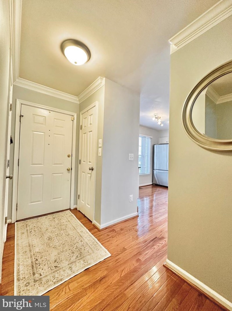 6527 Castine Ln, Springfield, VA 22150